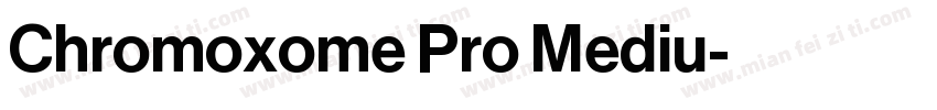 Chromoxome Pro Mediu字体转换